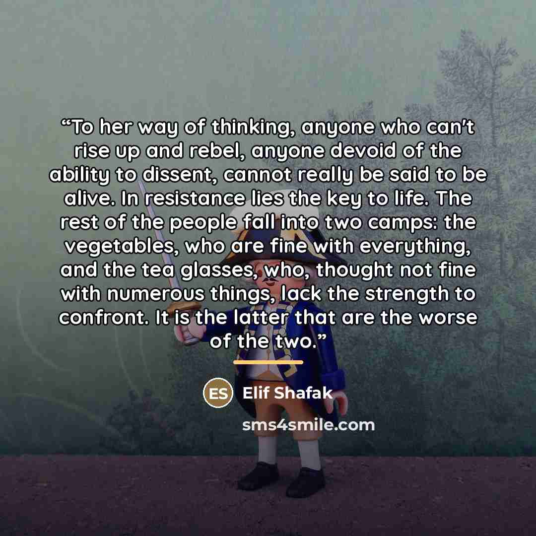 “To her way of thinking, anyone who can't rise up and rebel, anyone devoid of the ability to dissent, cannot really be said to be alive. In resistance lies the key to life. The rest of the people fall into two camps: the vegetables, who are fine with everything, and the tea glasses, who, thought…” quote by Elif Shafak