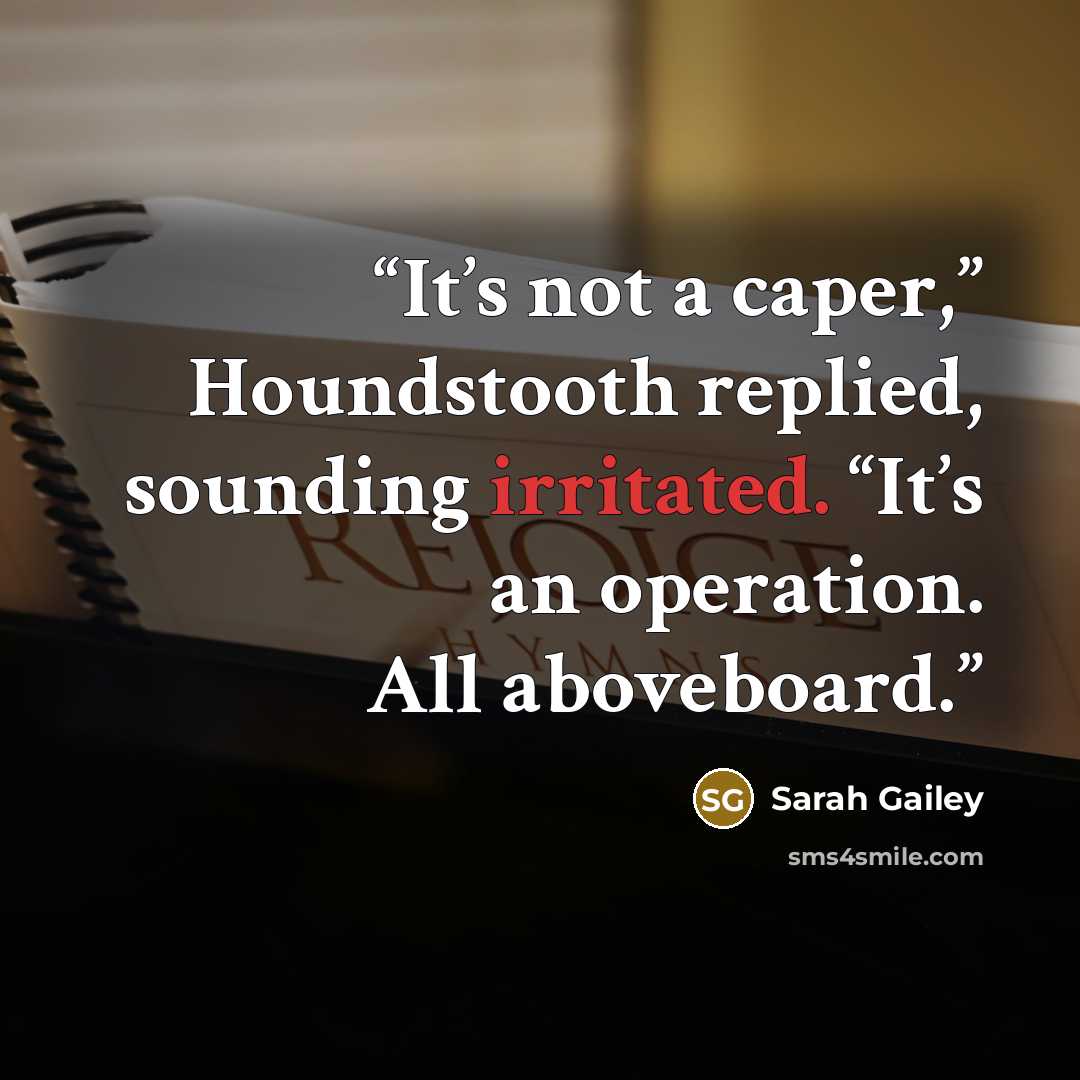 “It’s not a caper,” Houndstooth replied, sounding irritated. “It’s an operation. All aboveboard.” quote by Sarah Gailey