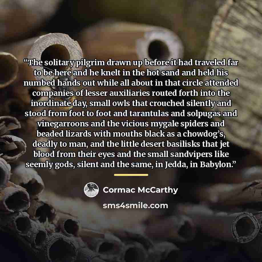 “The solitary pilgrim drawn up before it had traveled far to be here and he knelt in the hot sand and held his numbed hands out while all about in that circle attended companies of lesser auxiliaries routed forth into the inordinate day, small owls that crouched silently and stood from foot to foot…” quote by Cormac McCarthy