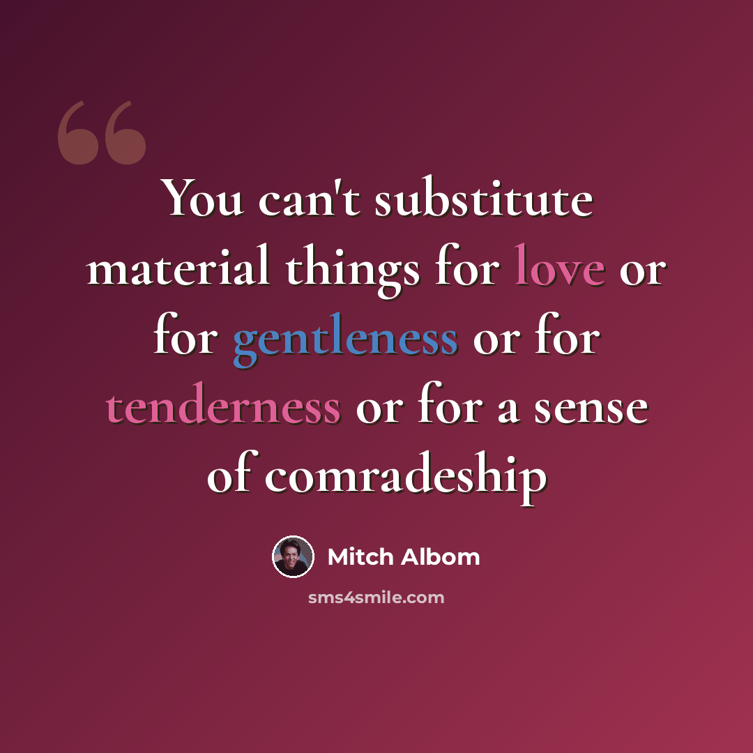 “You can't substitute material things for love or for gentleness or for tenderness or for a sense of comradeship” quote by Mitch Albom