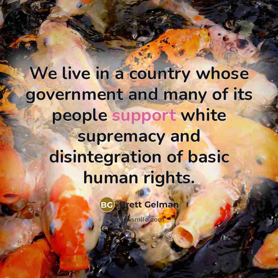 “We live in a country whose government and many of its people support white supremacy and disintegration of basic human rights.” quote by Brett Gelman