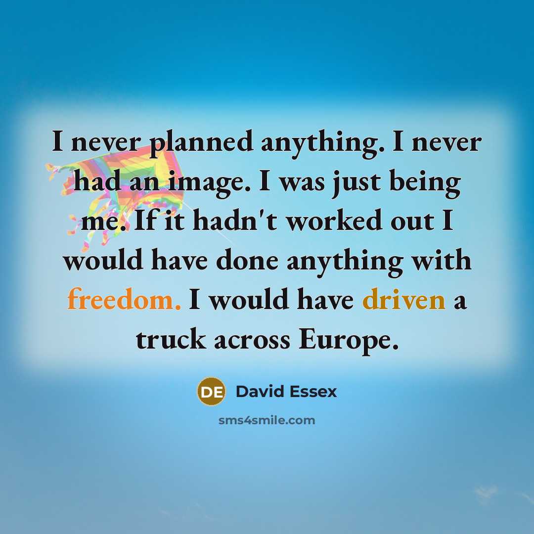 “I never planned anything. I never had an image. I was just being me. If it hadn't worked out I would have done anything with freedom. I would have driven a truck across Europe.” quote by David Essex