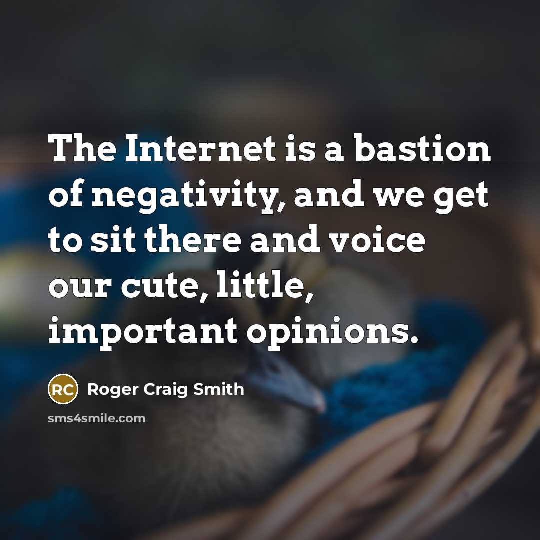 “The Internet is a bastion of negativity, and we get to sit there and voice our cute, little, important opinions.” quote by Roger Craig Smith