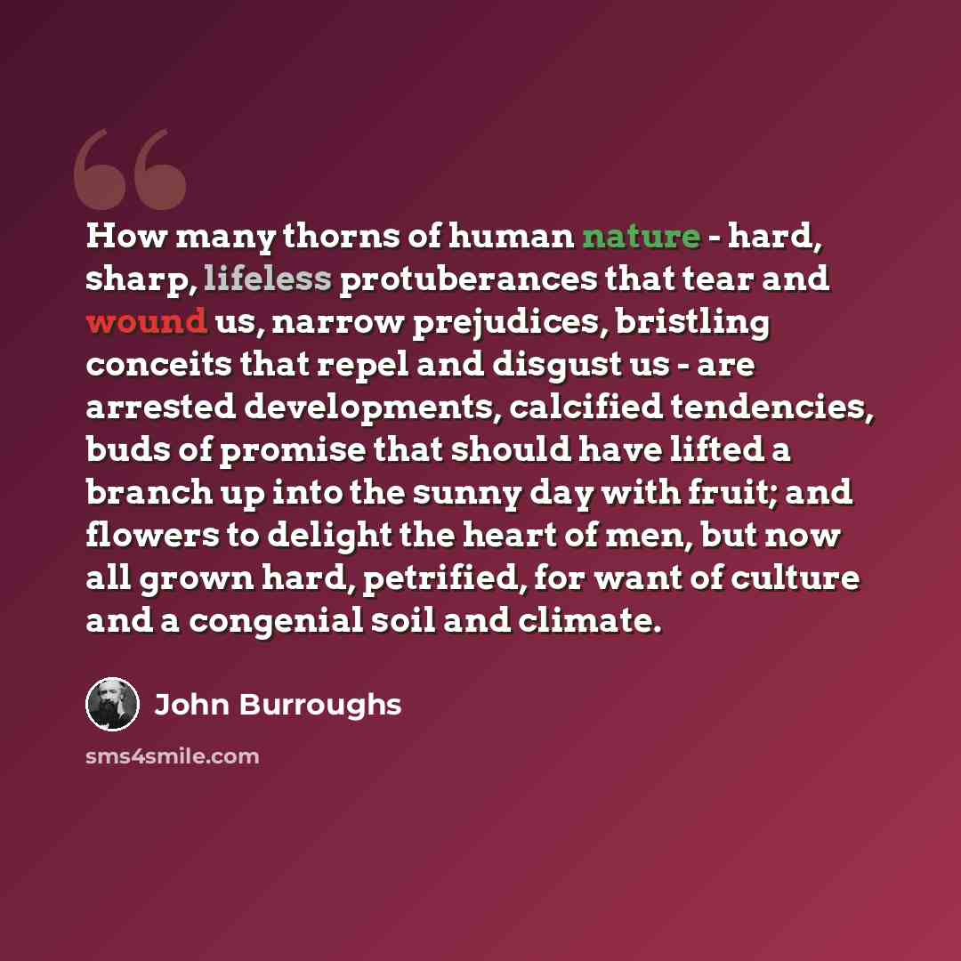“How many thorns of human nature - hard, sharp, lifeless protuberances that tear and wound us, narrow prejudices, bristling conceits that repel and disgust us - are arrested developments, calcified tendencies, buds of promise that should have lifted a branch up into the sunny day with fruit; and…” quote by John Burroughs