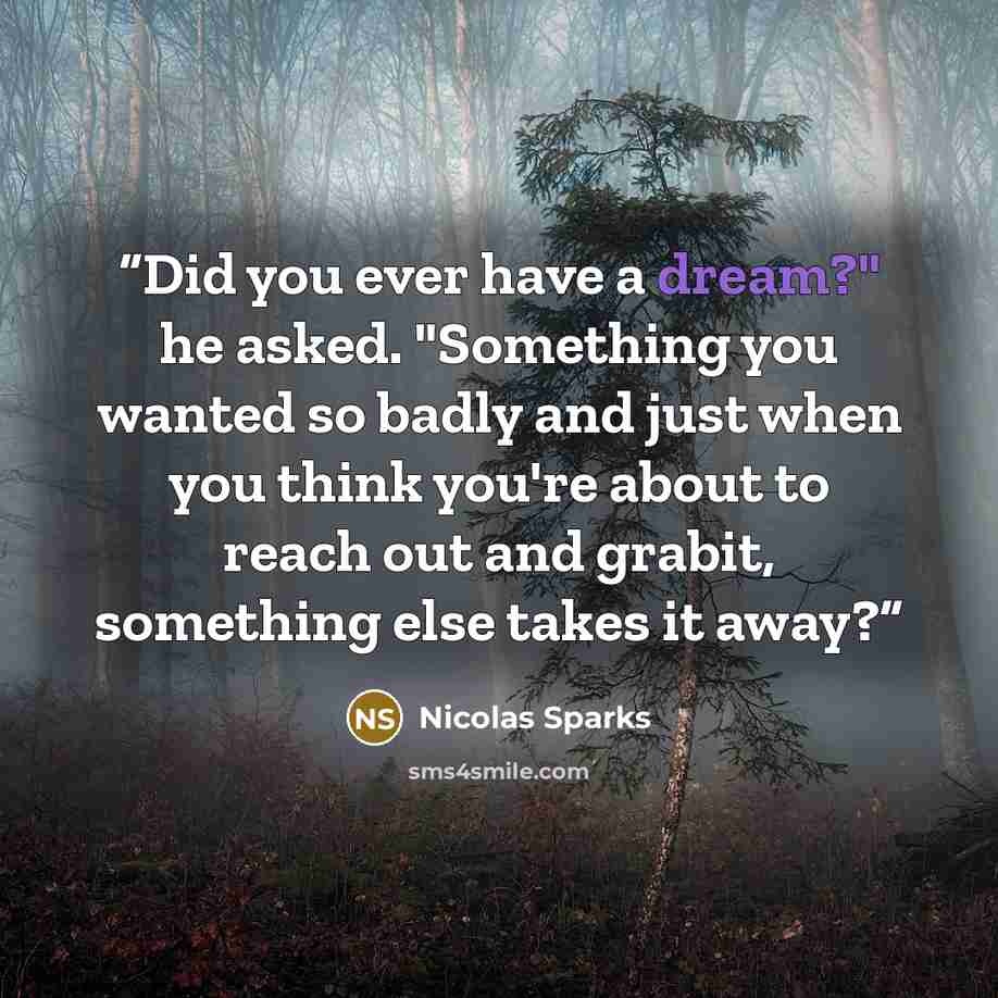 “Did you ever have a dream?" he asked. "Something you wanted so badly and just when you think you're about to reach out and grabit, something else takes it away?” quote by Nicolas Sparks