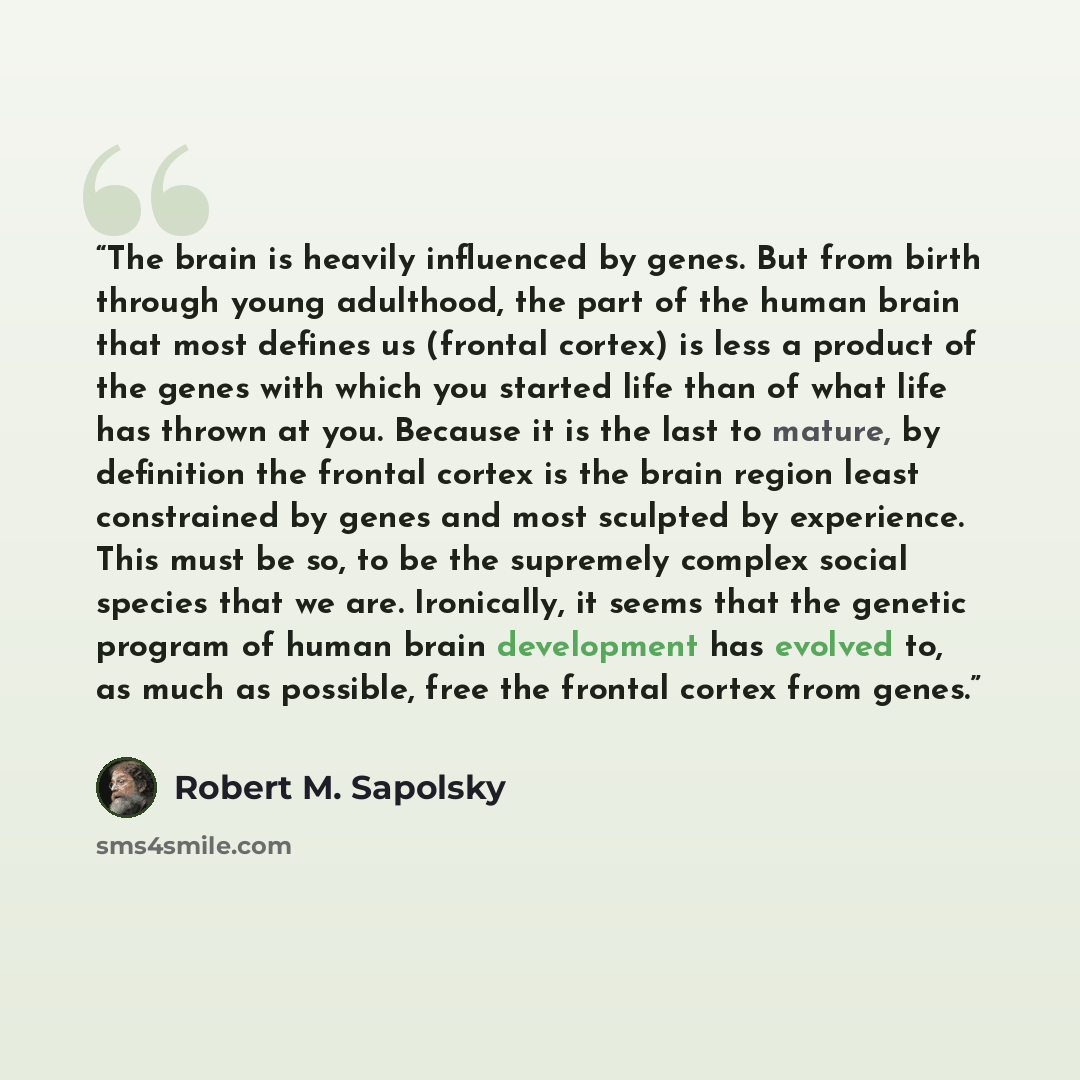 “The brain is heavily influenced by genes. But from birth through young adulthood, the part of the human brain that most defines us (frontal cortex) is less a product of the genes with which you started life than of what life has thrown at you. Because it is the last to mature, by definition the…” quote by Robert M. Sapolsky