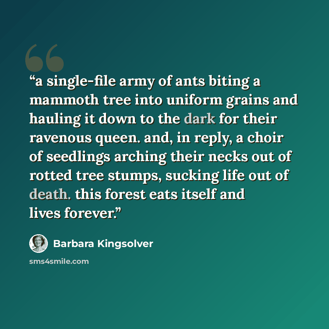 “a single-file army of ants biting a mammoth tree into uniform grains and hauling it down to the dark for their ravenous queen. and, in reply, a choir of seedlings arching their necks out of rotted tree stumps, sucking life out of death. this forest eats itself and lives forever.” quote by Barbara Kingsolver