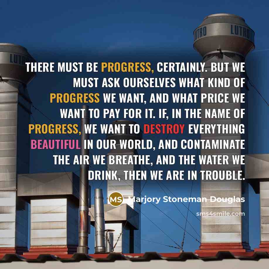 “There must be progress, certainly. But we must ask ourselves what kind of progress we want, and what price we want to pay for it. If, in the name of progress, we want to destroy everything beautiful in our world, and contaminate the air we breathe, and the water we drink, then we are in trouble.” quote by Marjory Stoneman Douglas