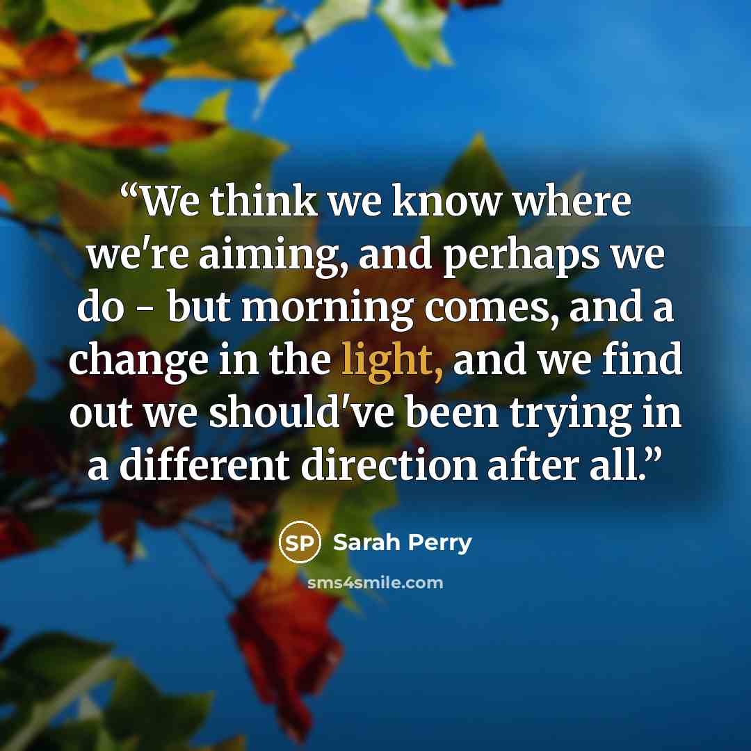 “We think we know where we're aiming, and perhaps we do - but morning comes, and a change in the light, and we find out we should've been trying in a different direction after all.” quote by Sarah Perry