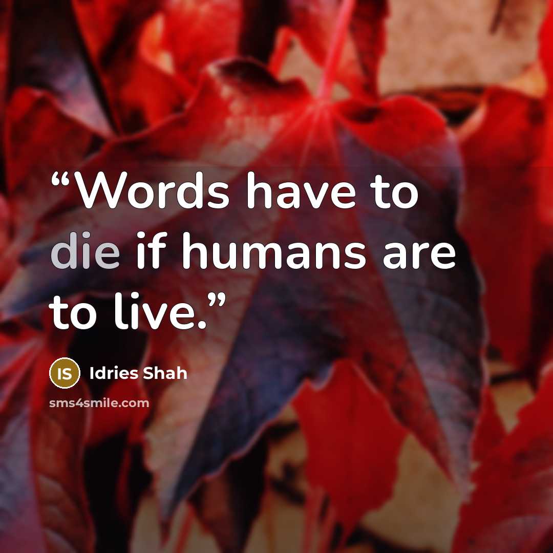 “Words have to die if humans are to live.” quote by Idries Shah