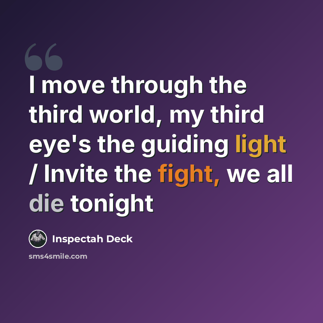 “I move through the third world, my third eye's the guiding light / Invite the fight, we all die tonight” quote by Inspectah Deck