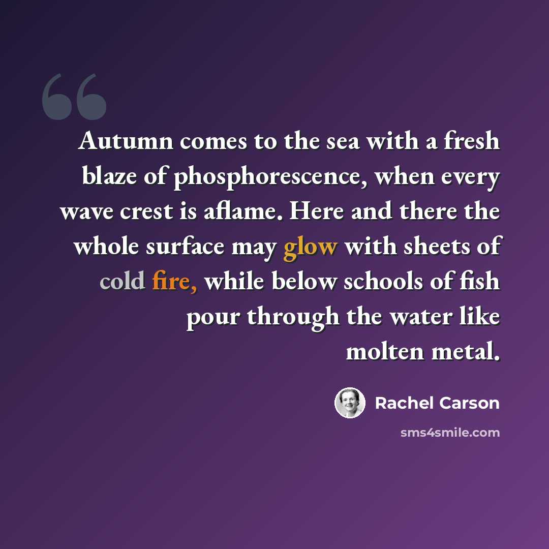 “Autumn comes to the sea with a fresh blaze of phosphorescence, when every wave crest is aflame. Here and there the whole surface may glow with sheets of cold fire, while below schools of fish pour through the water like molten metal.” quote by Rachel Carson