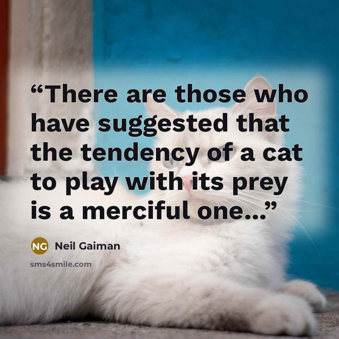 “There are those who have suggested that the tendency of a cat to play with its prey is a merciful one...” quote by Neil Gaiman