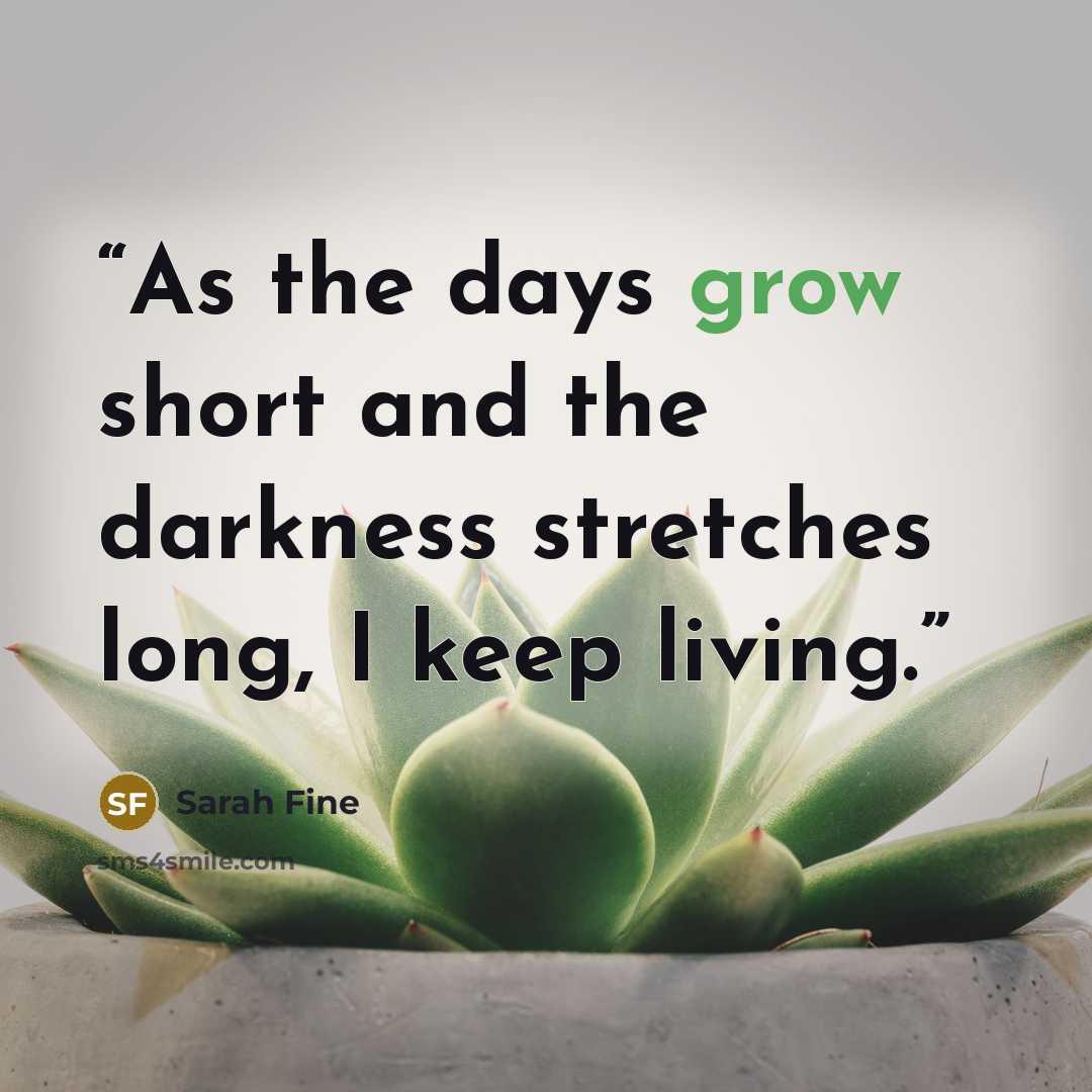 “As the days grow short and the darkness stretches long, I keep living.” quote by Sarah Fine