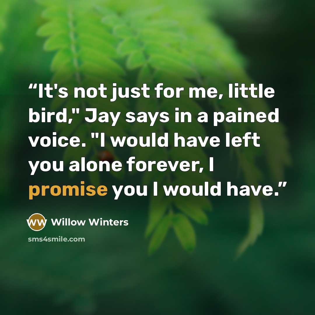 “It's not just for me, little bird," Jay says in a pained voice. "I would have left you alone forever, I promise you I would have.” quote by Willow Winters