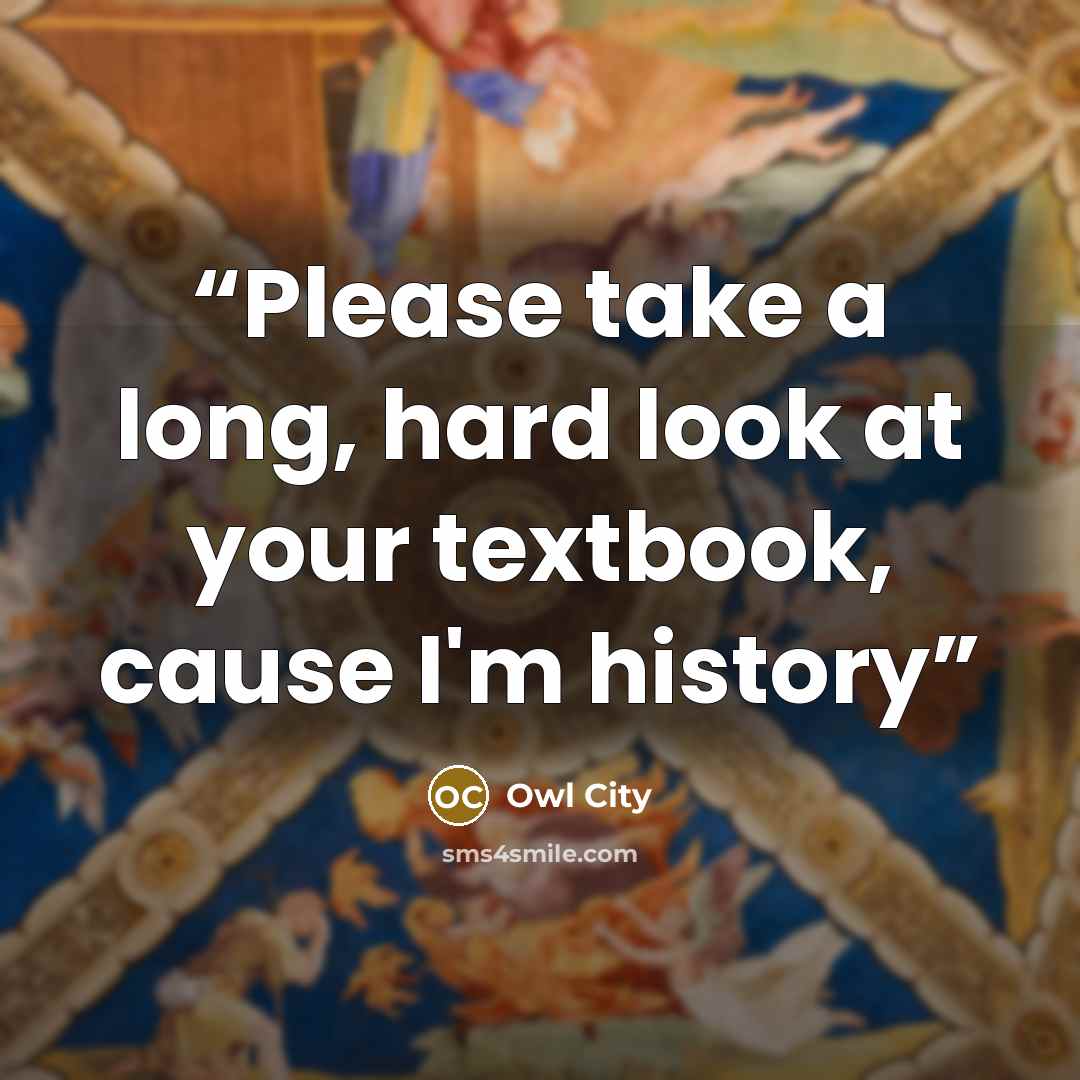“Please take a long, hard look at your textbook, cause I'm history” quote by Owl City