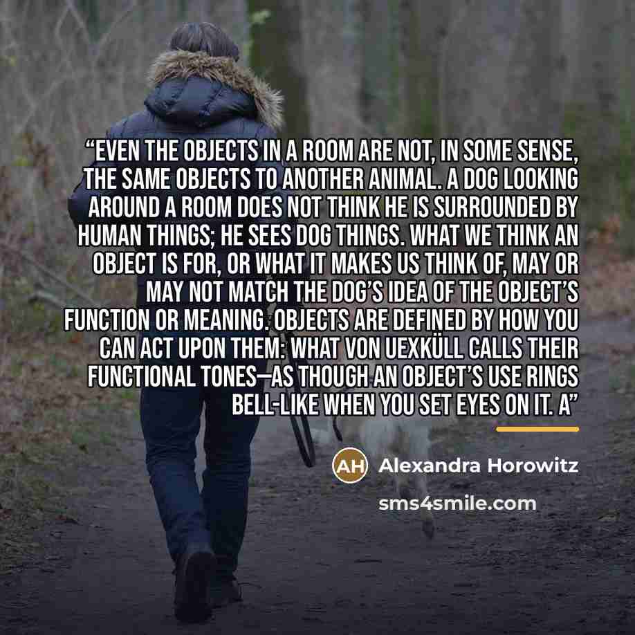 “Even the objects in a room are not, in some sense, the same objects to another animal. A dog looking around a room does not think he is surrounded by human things; he sees dog things. What we think an object is for, or what it makes us think of, may or may not match the dog’s idea of the object’s…” quote by Alexandra Horowitz