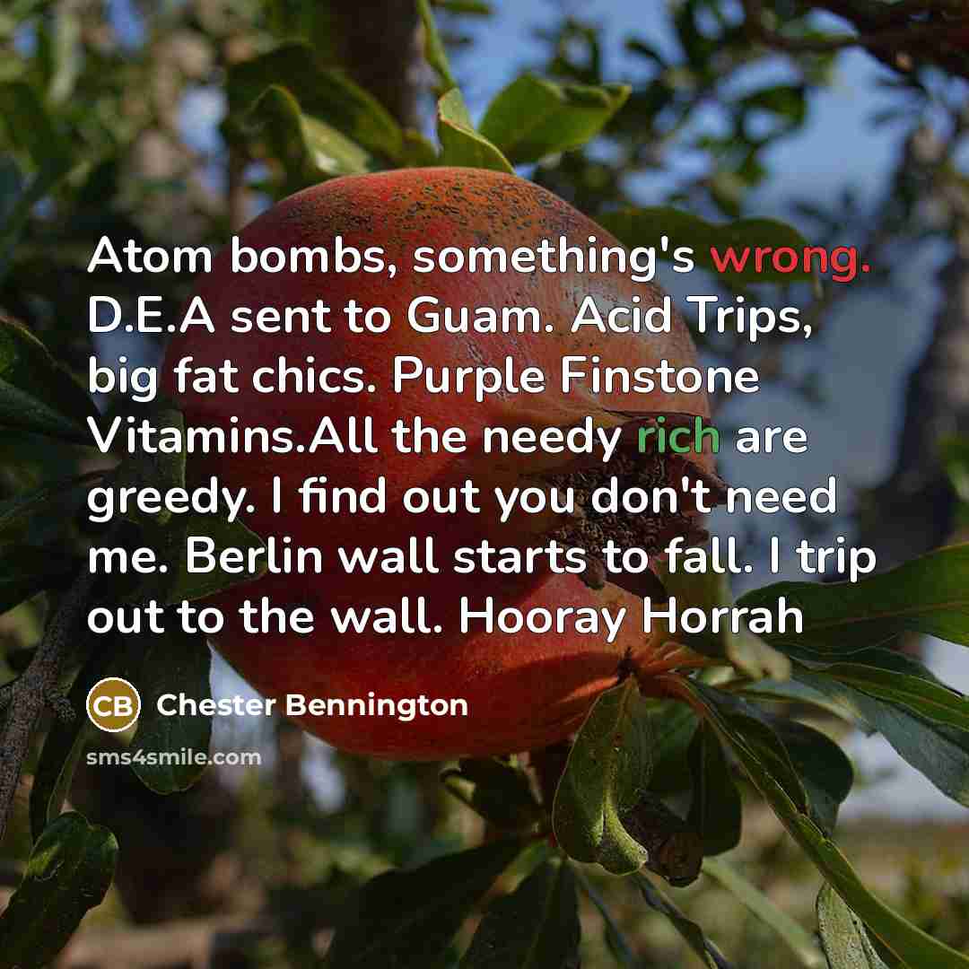 “Atom bombs, something's wrong. D.E.A sent to Guam. Acid Trips, big fat chics. Purple Finstone Vitamins.All the needy rich are greedy. I find out you don't need me. Berlin wall starts to fall. I trip out to the wall. Hooray Horrah” quote by Chester Bennington