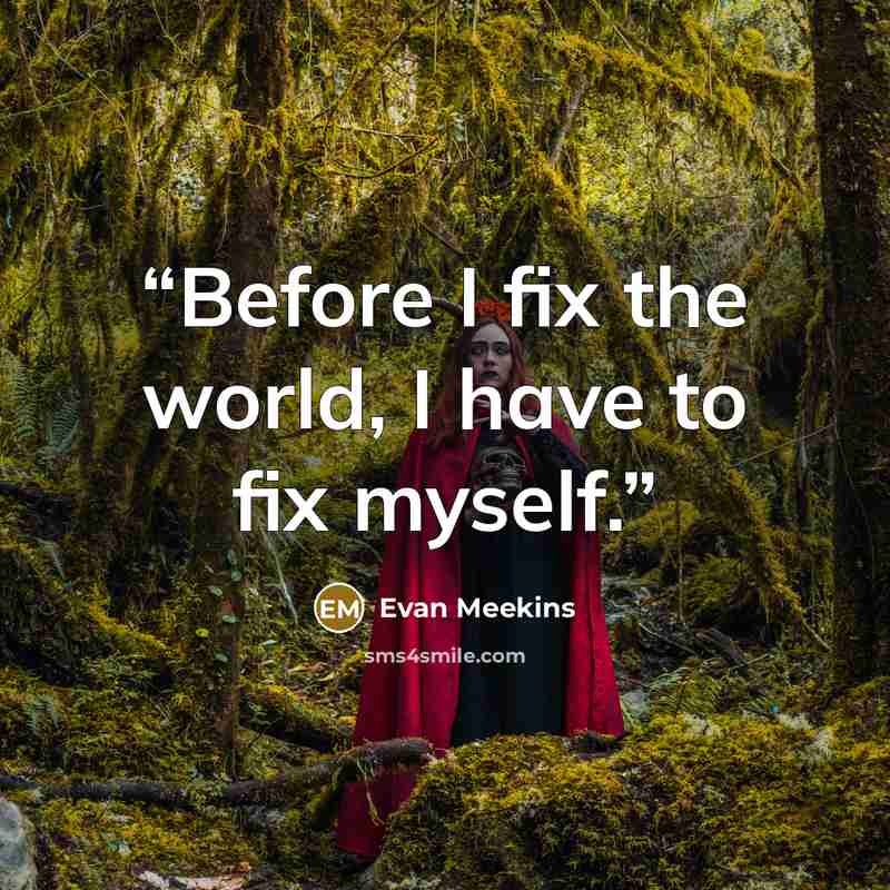 “Before I fix the world, I have to fix myself.” quote by Evan Meekins