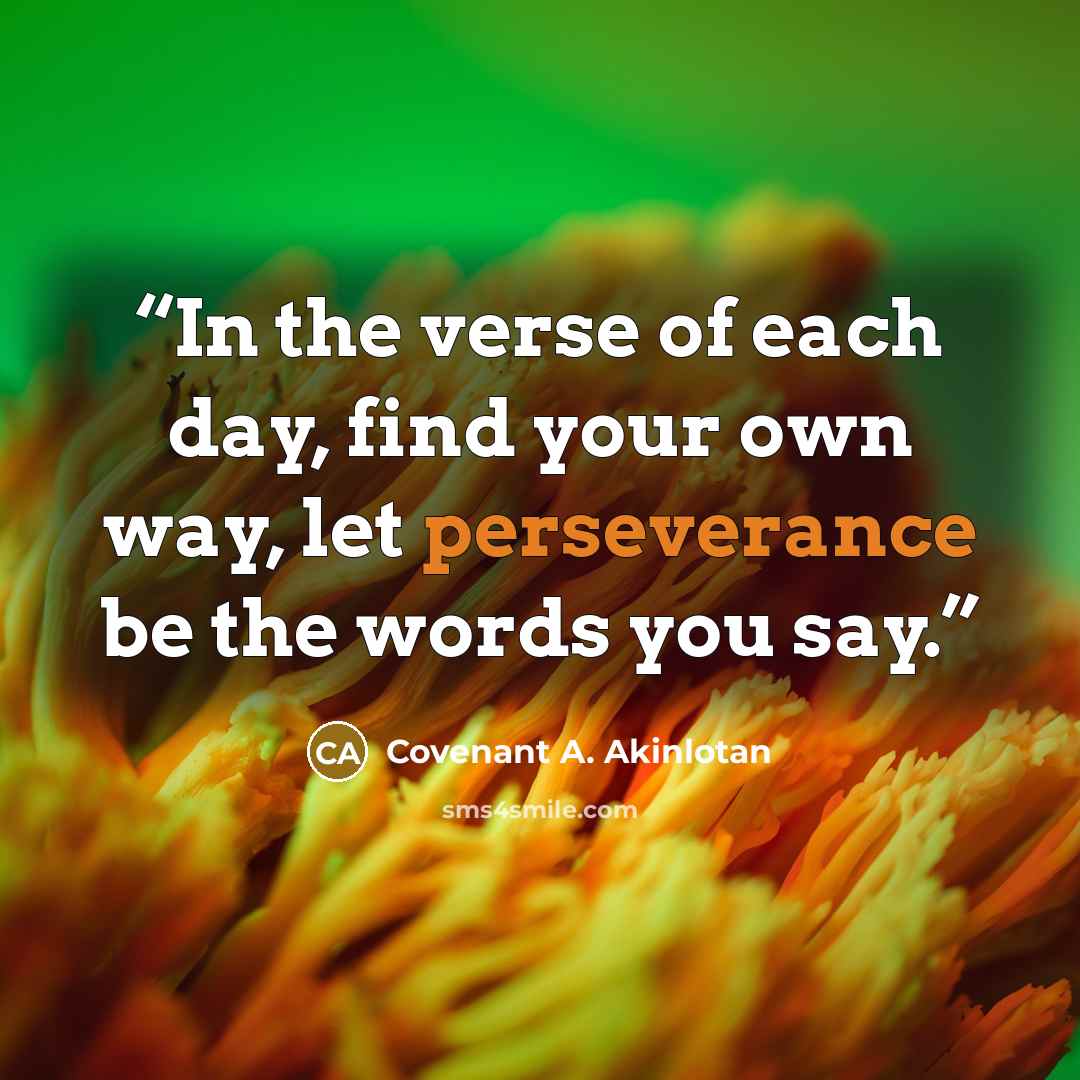 “In the verse of each day, find your own way, let perseverance be the words you say.” quote by Covenant A. Akinlotan