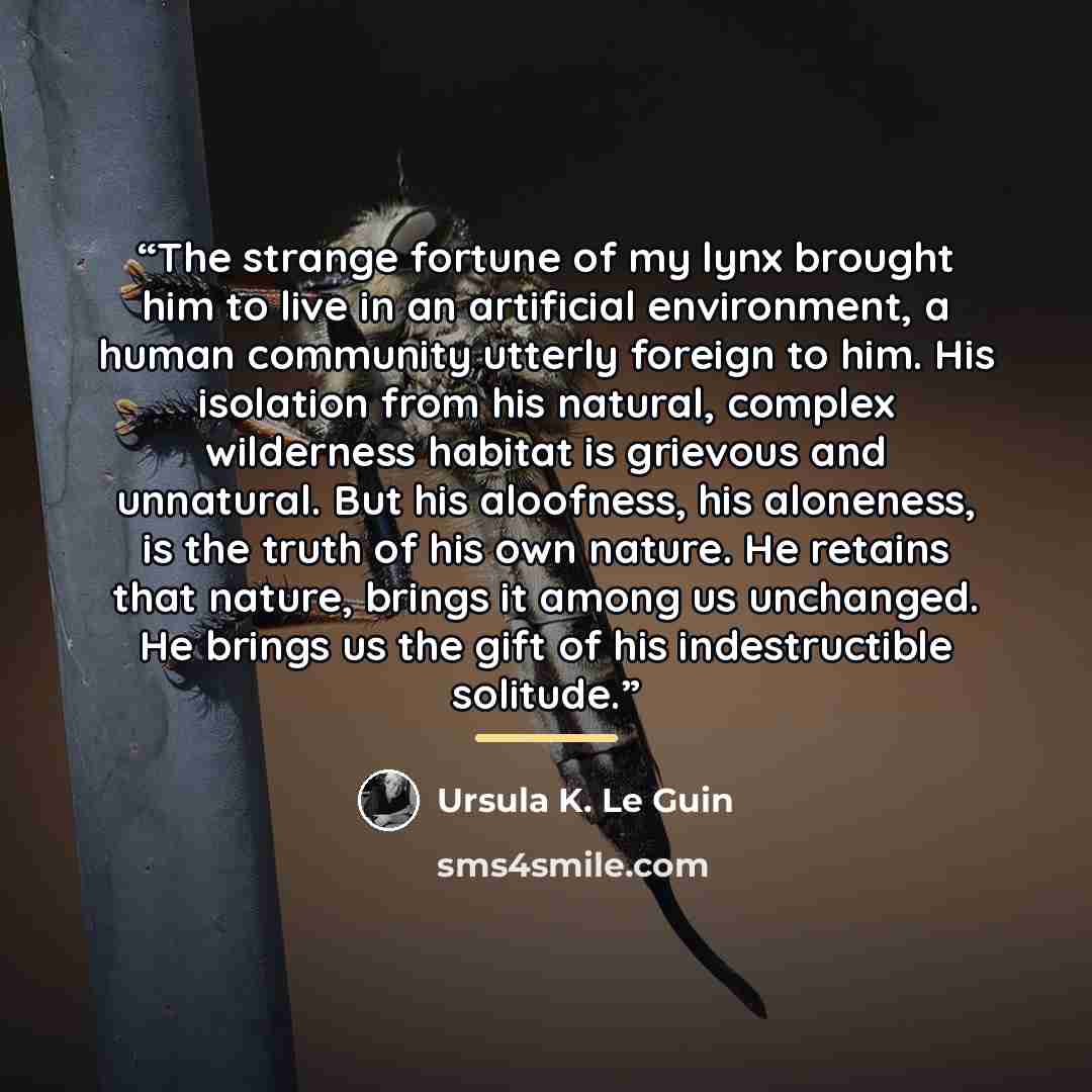 “The strange fortune of my lynx brought him to live in an artificial environment, a human community utterly foreign to him. His isolation from his natural, complex wilderness habitat is grievous and unnatural. But his aloofness, his aloneness, is the truth of his own nature. He retains that nature…” quote by Ursula K. Le Guin