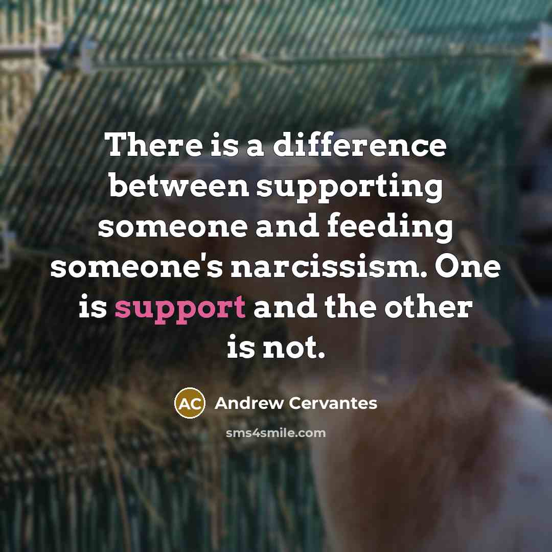 “There is a difference between supporting someone and feeding someone's narcissism. One is support and the other is not.” quote by Andrew Cervantes