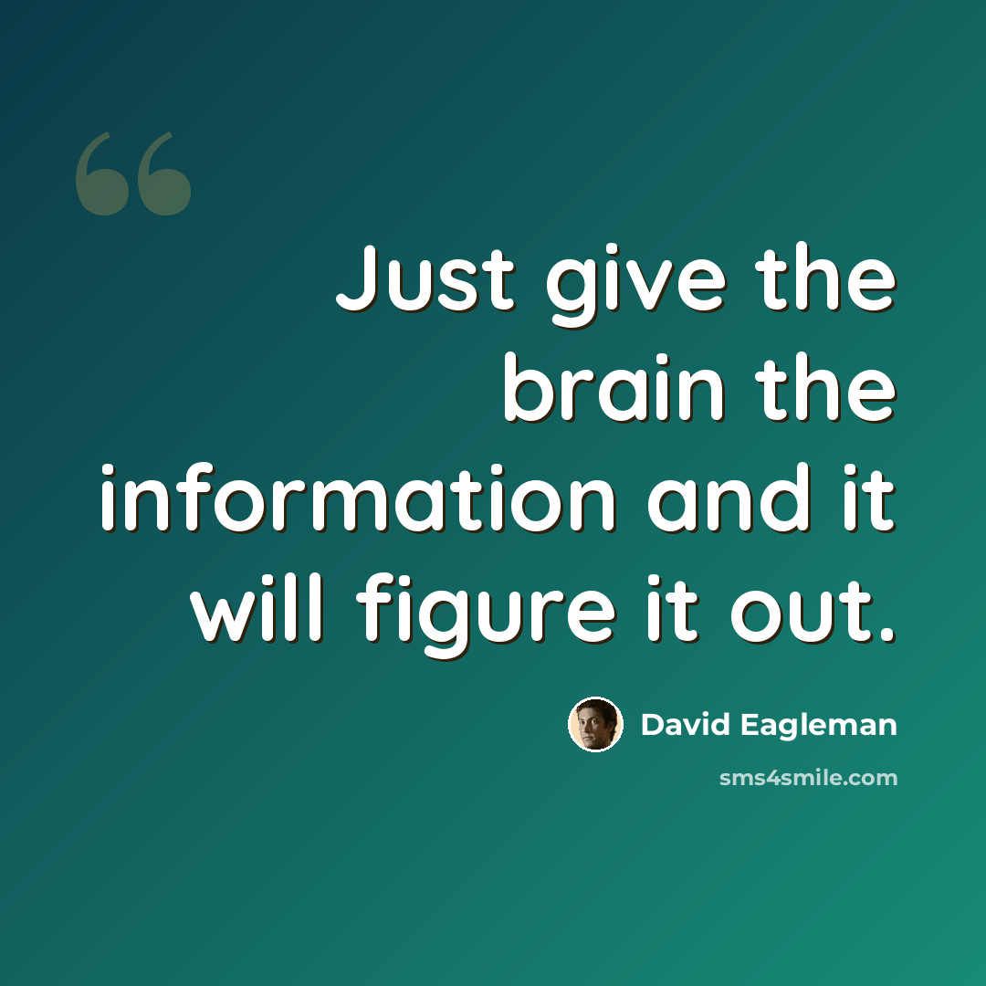 “Just give the brain the information and it will figure it out.” quote by David Eagleman