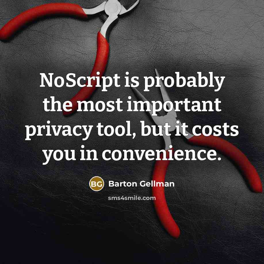 “NoScript is probably the most important privacy tool, but it costs you in convenience.” quote by Barton Gellman