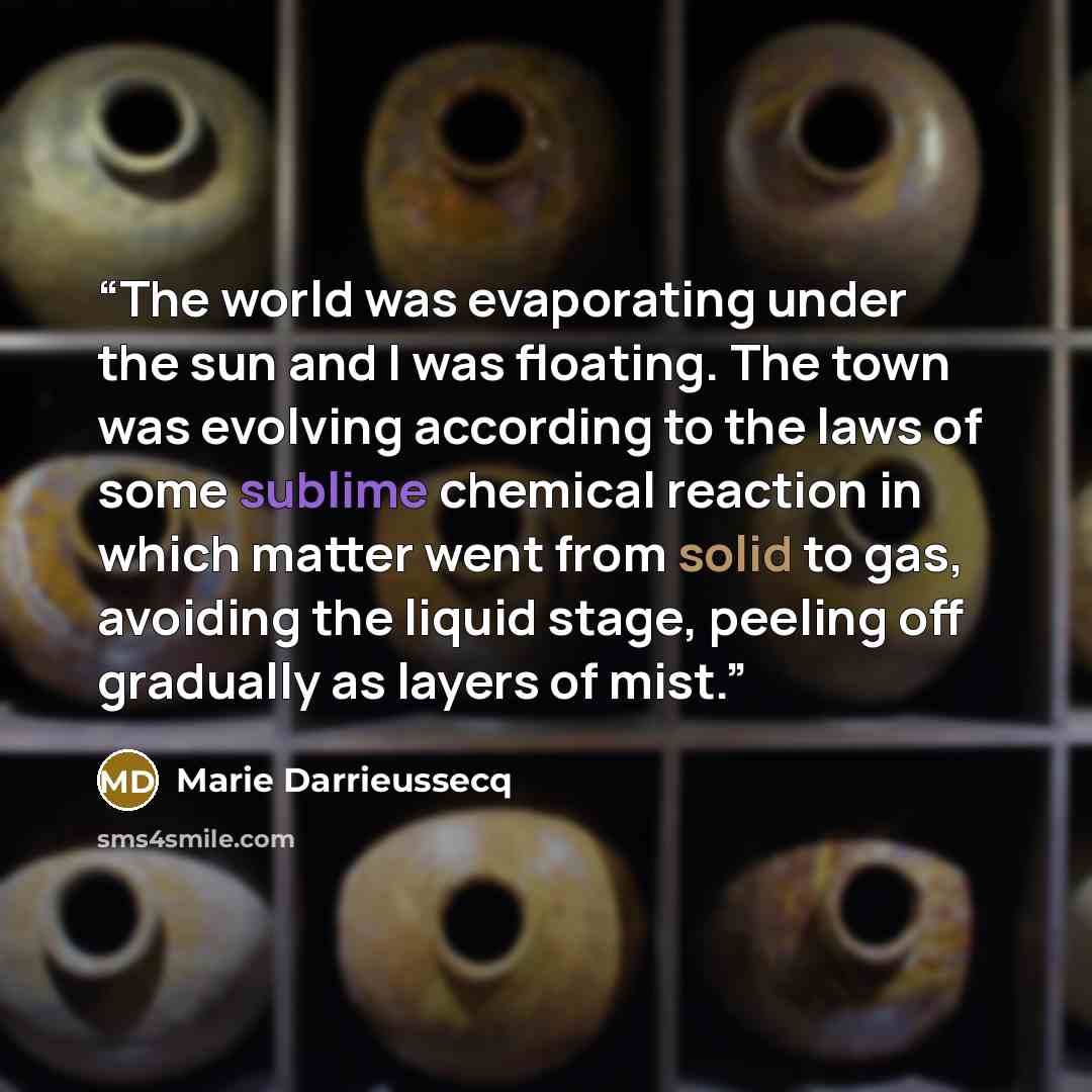 “The world was evaporating under the sun and I was floating. The town was evolving according to the laws of some sublime chemical reaction in which matter went from solid to gas, avoiding the liquid stage, peeling off gradually as layers of mist.” quote by Marie Darrieussecq
