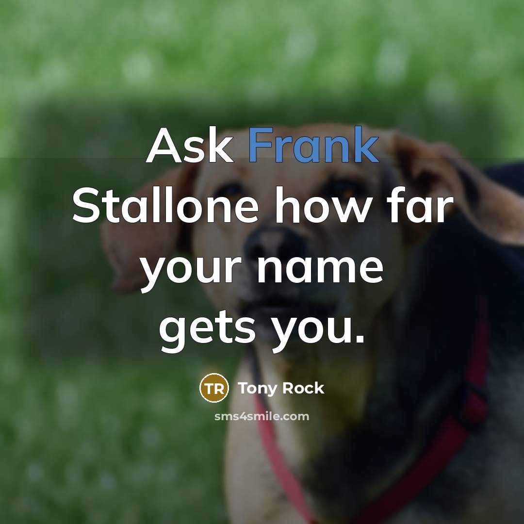 “Ask Frank Stallone how far your name gets you.” quote by Tony Rock