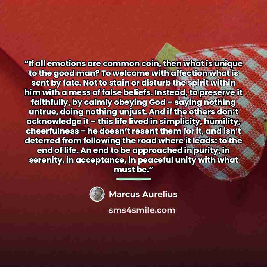 “If all emotions are common coin, then what is unique to the good man? To welcome with affection what is sent by fate. Not to stain or disturb the spirit within him with a mess of false beliefs. Instead, to preserve it faithfully, by calmly obeying God – saying nothing untrue, doing nothing unjust…” quote by Marcus Aurelius