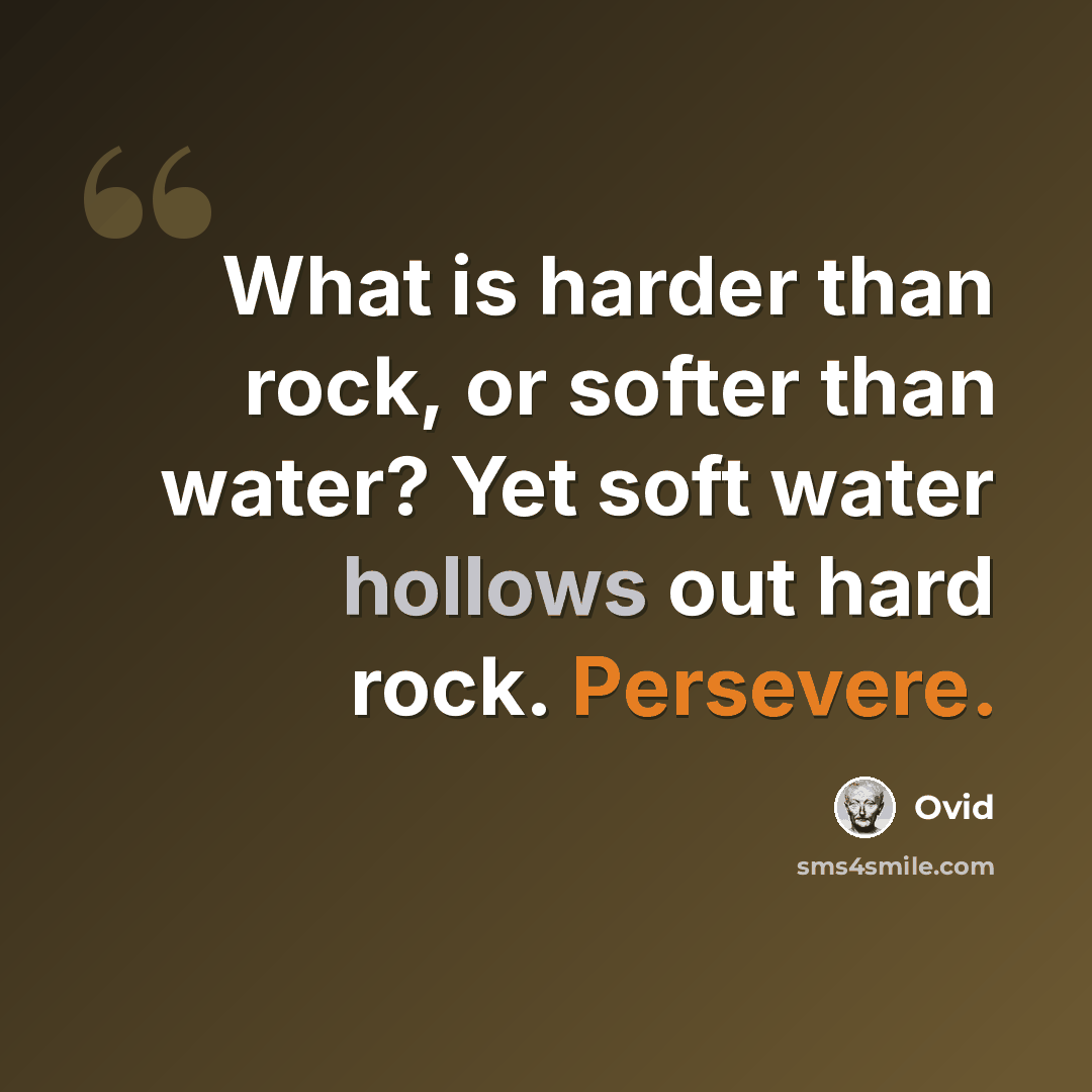 “What is harder than rock, or softer than water? Yet soft water hollows out hard rock. Persevere.” quote by Ovid