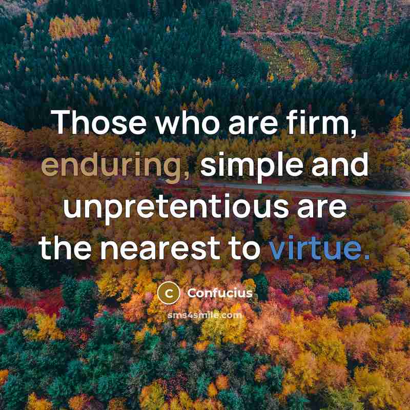 “Those who are firm, enduring, simple and unpretentious are the nearest to virtue.” quote by Confucius