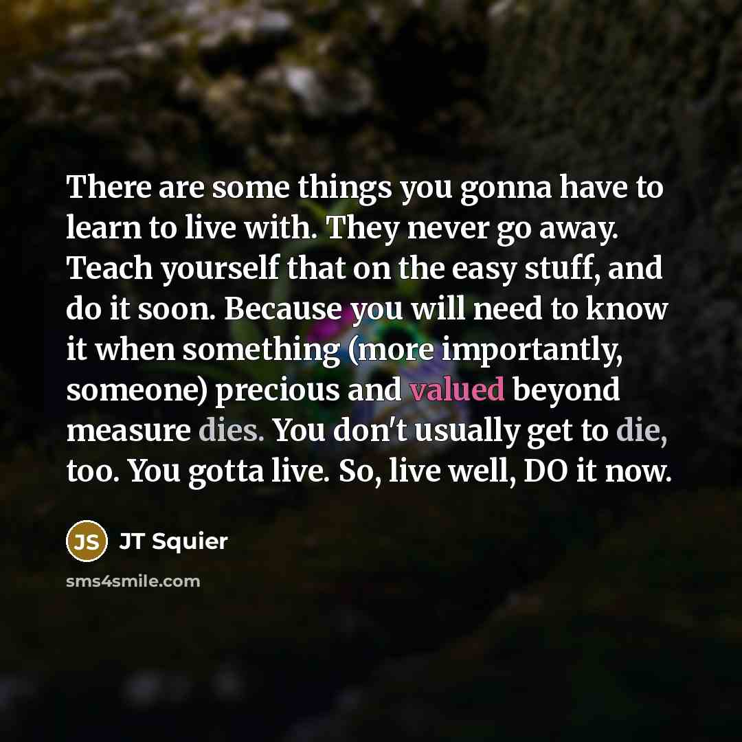 “There are some things you gonna have to learn to live with. They never go away. Teach yourself that on the easy stuff, and do it soon. Because you will need to know it when something (more importantly, someone) precious and valued beyond measure dies. You don't usually get to die, too. You gotta…” quote by JT Squier