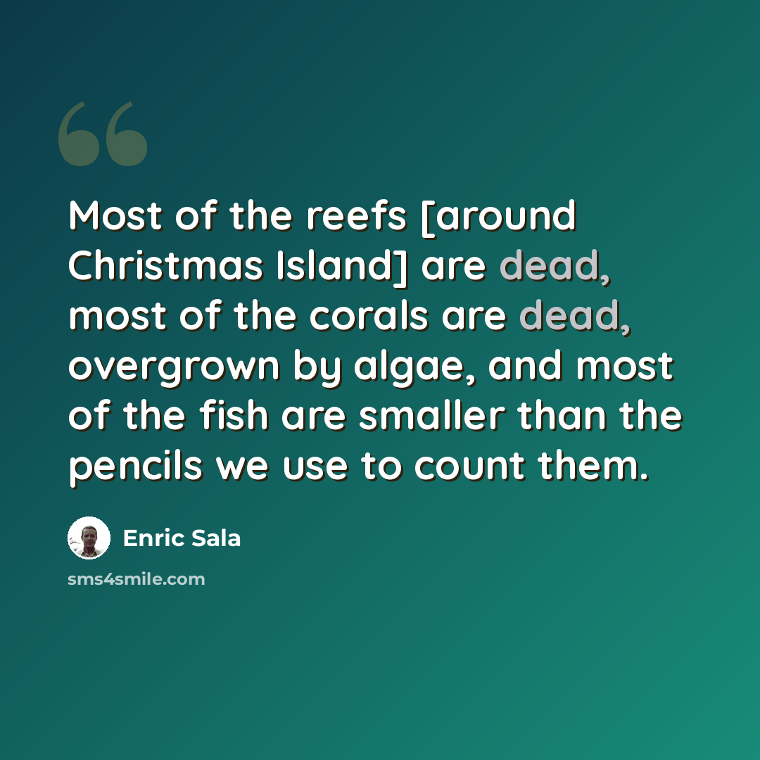 “Most of the reefs [around Christmas Island] are dead, most of the corals are dead, overgrown by algae, and most of the fish are smaller than the pencils we use to count them.” quote by Enric Sala