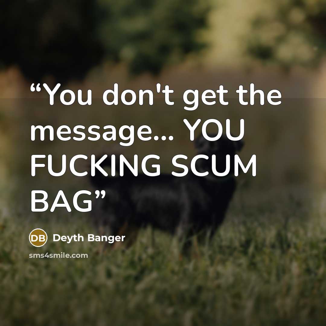“You don't get the message... YOU FUCKING SCUM BAG” quote by Deyth Banger