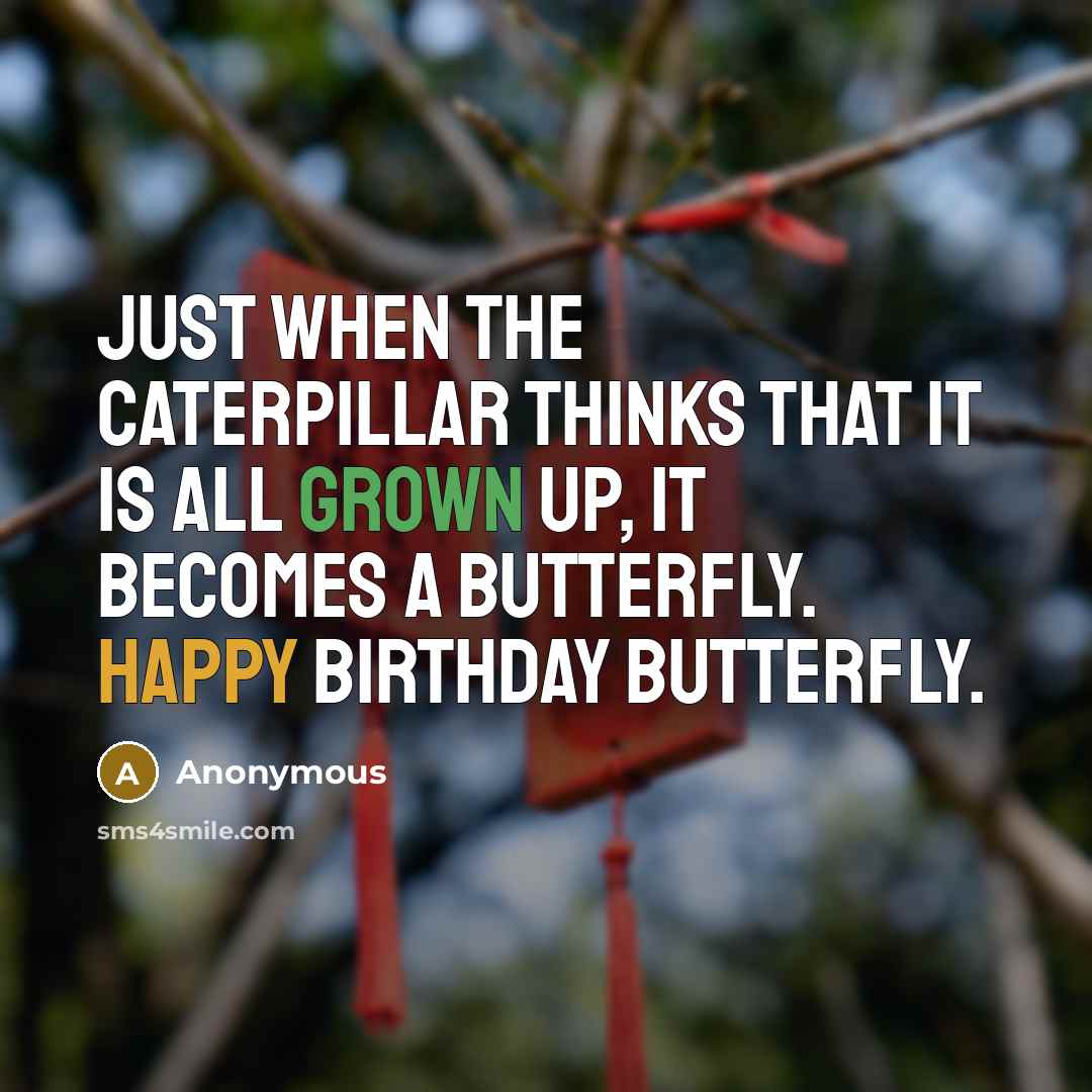 “Just when the caterpillar thinks that it is all grown up, it becomes a butterfly. Happy Birthday Butterfly.” quote by Anonymous