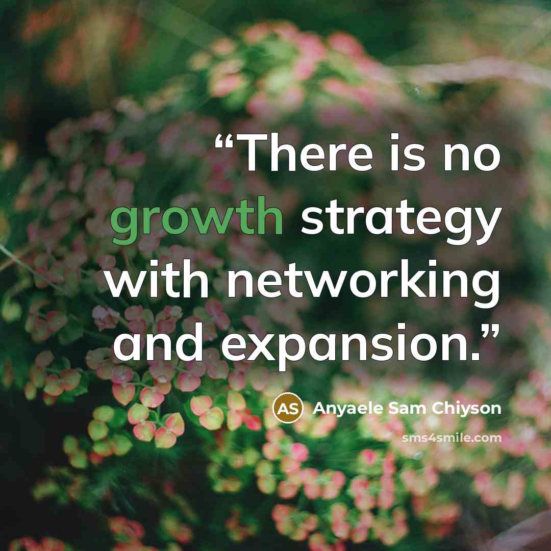 “There is no growth strategy with networking and expansion.” quote by Anyaele Sam Chiyson