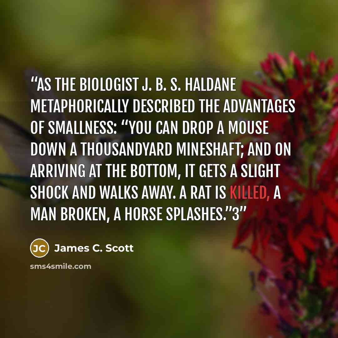 “As the biologist J. B. S. Haldane metaphorically described the advantages of smallness: “You can drop a mouse down a thousandyard mineshaft; and on arriving at the bottom, it gets a slight shock and walks away. A rat is killed, a man broken, a horse splashes.”3” quote by James C. Scott