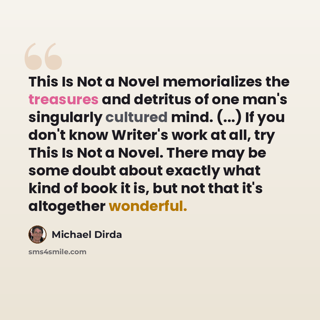 “This Is Not a Novel memorializes the treasures and detritus of one man's singularly cultured mind. (...) If you don't know Writer's work at all, try This Is Not a Novel. There may be some doubt about exactly what kind of book it is, but not that it's altogether wonderful.” quote by Michael Dirda