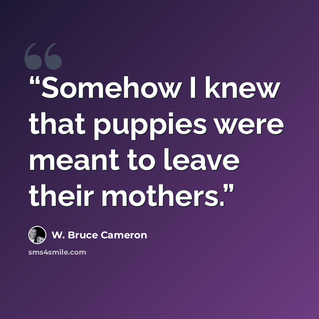 “Somehow I knew that puppies were meant to leave their mothers.” quote by W. Bruce Cameron