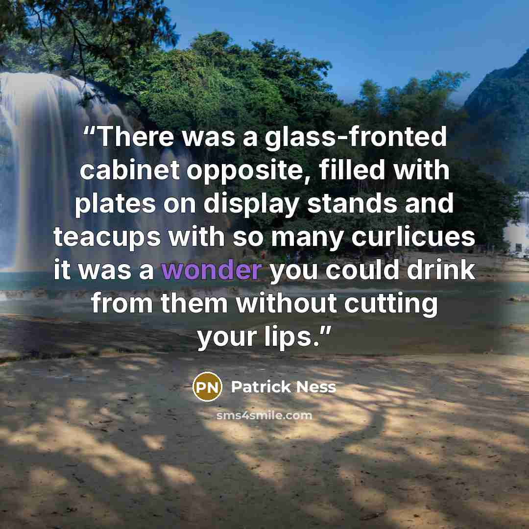 “There was a glass-fronted cabinet opposite, filled with plates on display stands and teacups with so many curlicues it was a wonder you could drink from them without cutting your lips.” quote by Patrick Ness