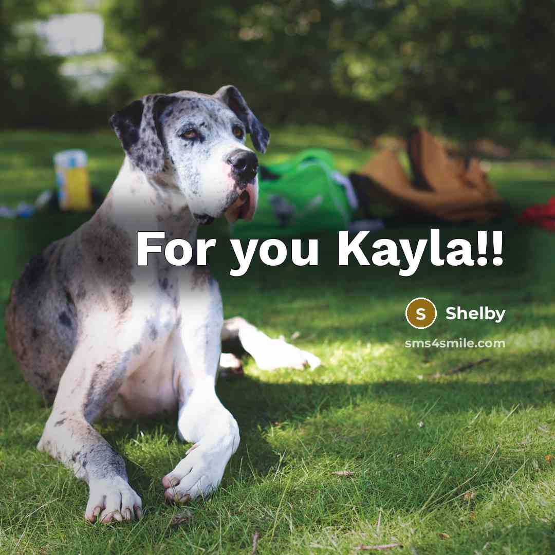 “For you Kayla!!” quote by Shelby