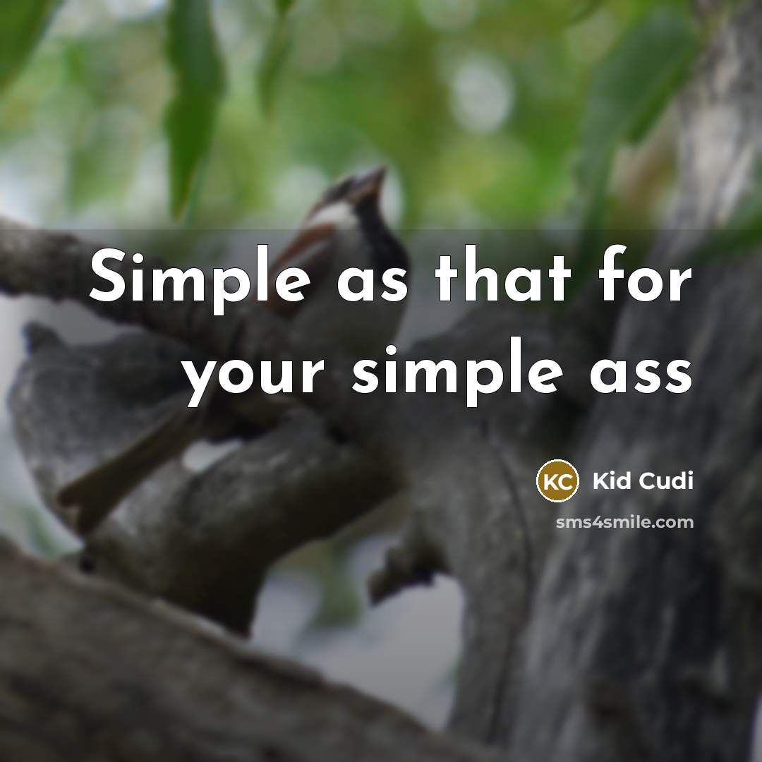 “Simple as that for your simple ass” quote by Kid Cudi