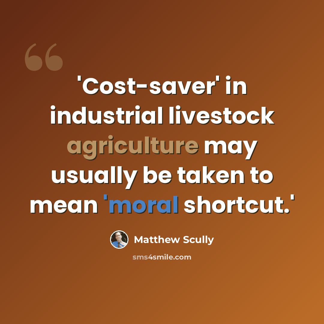 “'Cost-saver' in industrial livestock agriculture may usually be taken to mean 'moral shortcut.'” quote by Matthew Scully