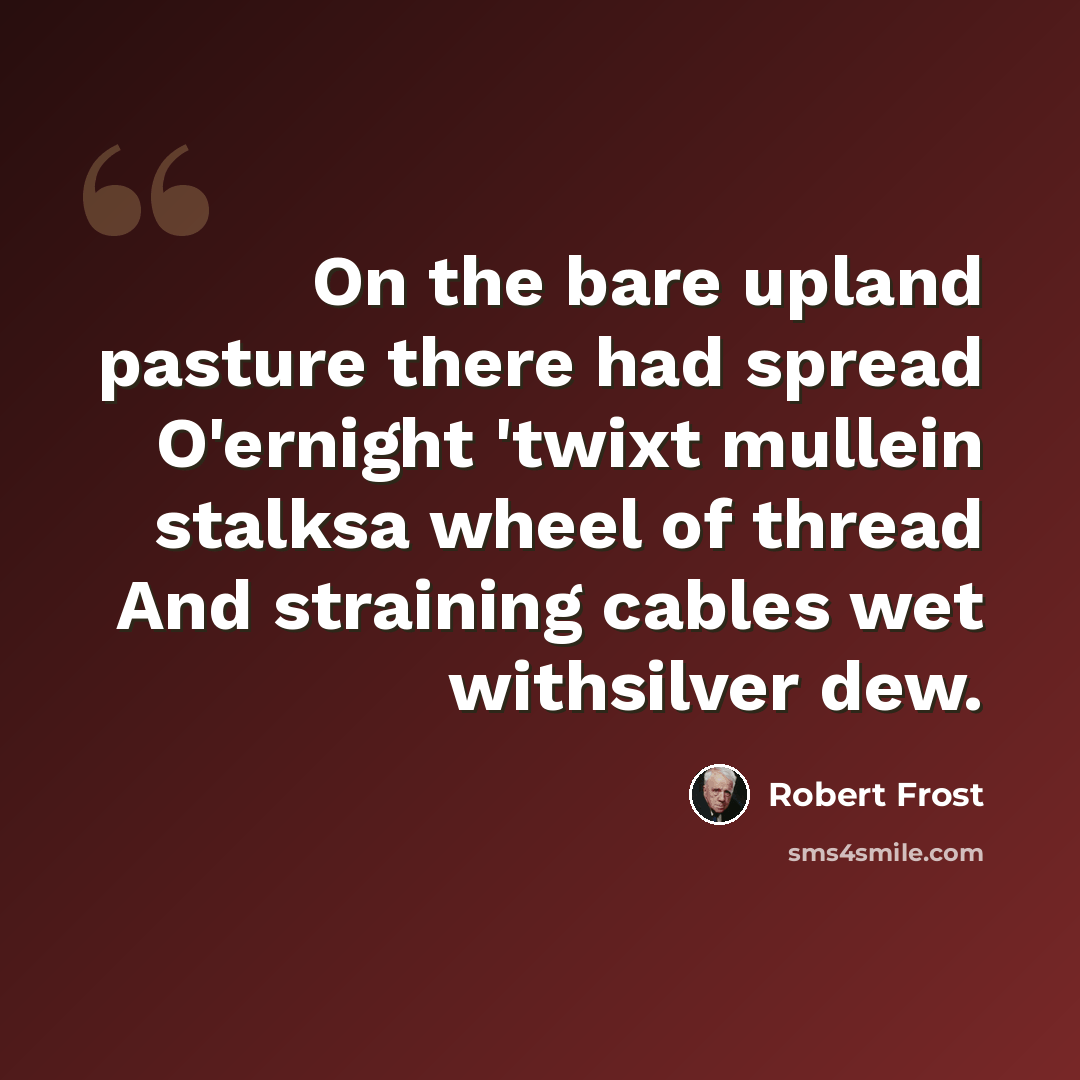 “On the bare upland pasture there had spread O'ernight 'twixt mullein stalksa wheel of thread And straining cables wet withsilver dew.” quote by Robert Frost