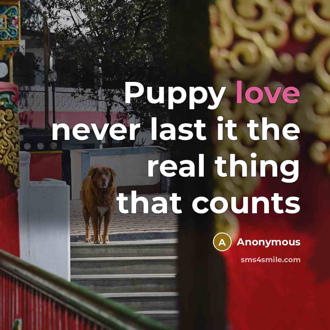 “Puppy love never last it the real thing that counts” quote by Anonymous