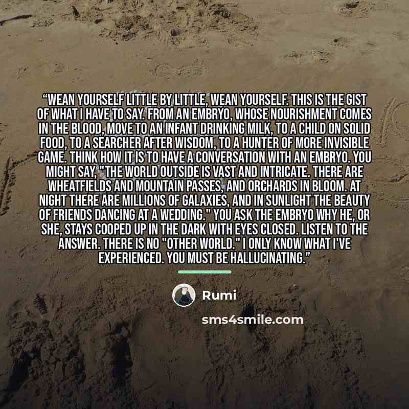 “WEAN YOURSELF Little by little, wean yourself. This is the gist of what I have to say. From an embryo, whose nourishment comes in the blood, move to an infant drinking milk, to a child on solid food, to a searcher after wisdom, to a hunter of more invisible game. Think how it is to have a…” quote by Rumi