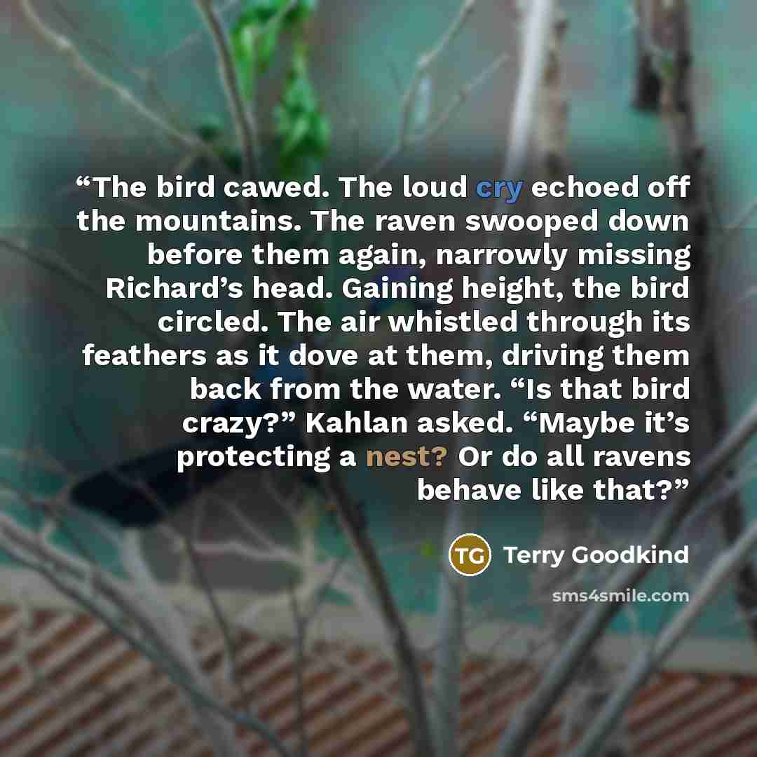 “The bird cawed. The loud cry echoed off the mountains. The raven swooped down before them again, narrowly missing Richard’s head. Gaining height, the bird circled. The air whistled through its feathers as it dove at them, driving them back from the water. “Is that bird crazy?” Kahlan asked. “Maybe…” quote by Terry Goodkind
