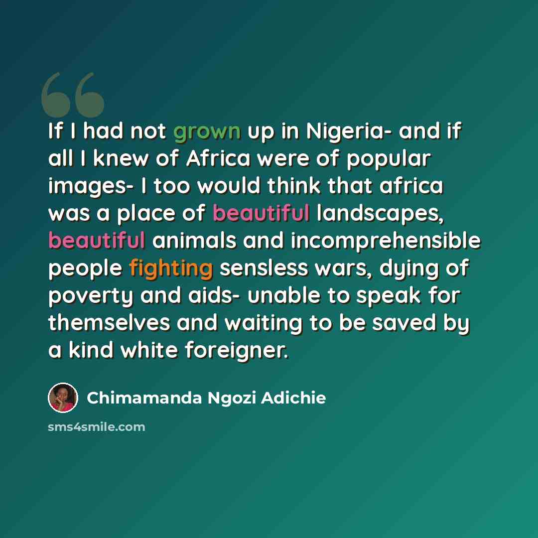 “If I had not grown up in Nigeria- and if all I knew of Africa were of popular images- I too would think that africa was a place of beautiful landscapes, beautiful animals and incomprehensible people fighting sensless wars, dying of poverty and aids- unable to speak for themselves and waiting to be…” quote by Chimamanda Ngozi Adichie